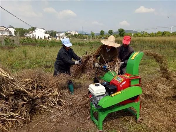 狠抓秸稈禁燒，我們這么干！