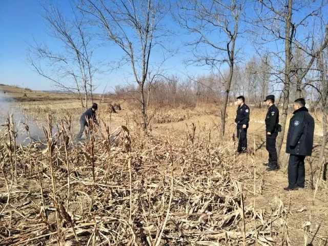 深讀|大連森林防火開創(chuàng)十六年來(lái)最好水平有啥