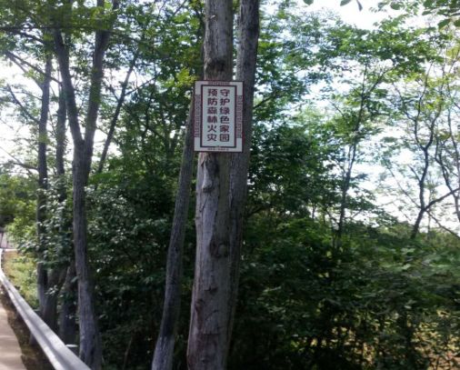 如何做好夏季森林防火工作？洛帶有這四大妙招