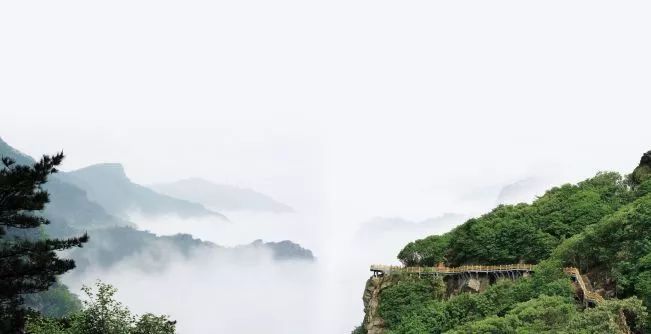 連云港將新增12個森林公園，快看有你家附近的么！