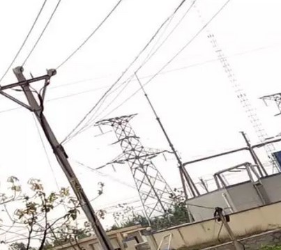 看看這些電力人的春季巡檢！