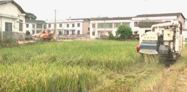 秸稈焚燒，NO！這個(gè)神器了解一下，湘鄉(xiāng)安排180萬(wàn)資金全面推廣