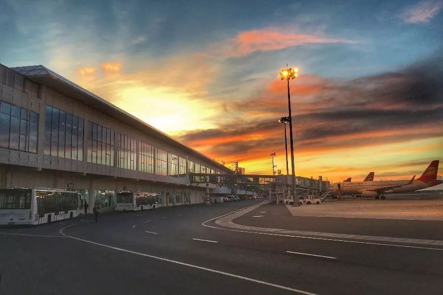 鳥(niǎo)是人類(lèi)的益友，然而對(duì)機(jī)場(chǎng)而言......