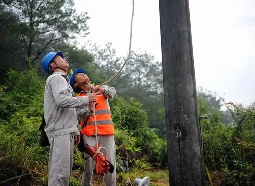 白露已過，秋天來襲，不怕不怕，有我在
