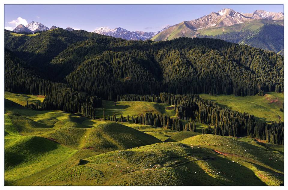 光電轉(zhuǎn)臺(tái)、無人機(jī)······環(huán)境檢測領(lǐng)域里的“黑科技”