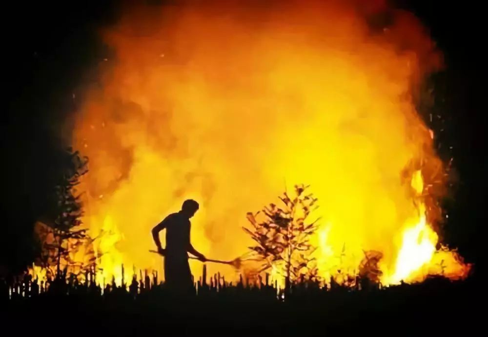 如何看待美國加州大火？怎樣有效防止森林火災(zāi)蔓延成人間悲?。?></a>
                <div   id=