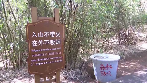 贊！雞足山景區(qū)連續(xù)35年無(wú)森林火災(zāi)，因?yàn)樗麄?..