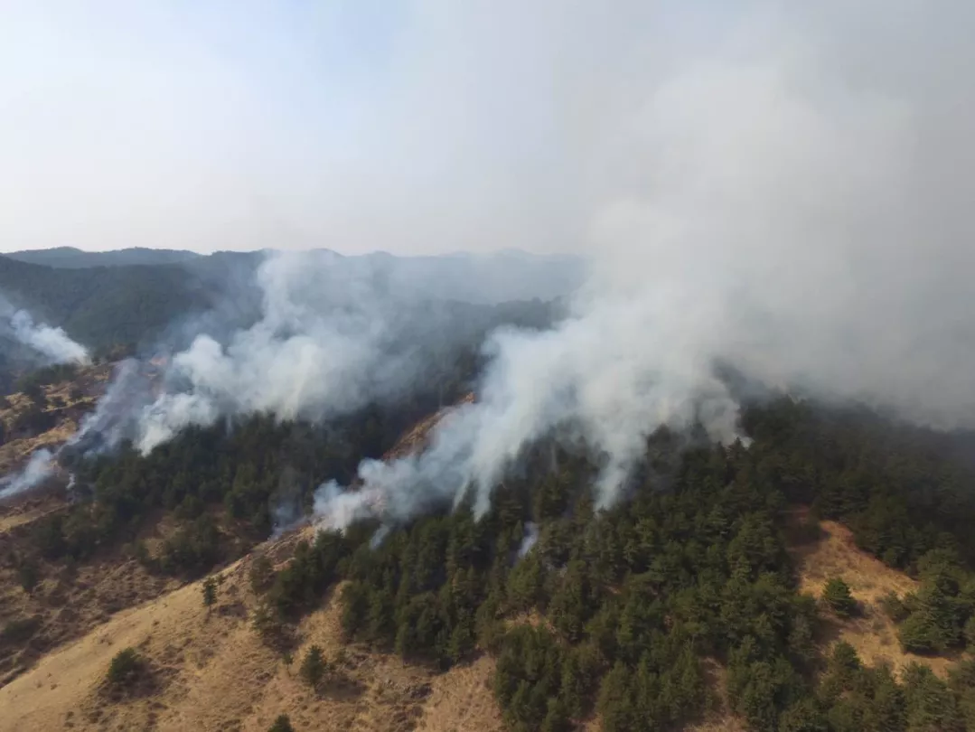 源火場熱點(diǎn)由75個降至23個 中部戰(zhàn)區(qū)部隊參戰(zhàn)救火