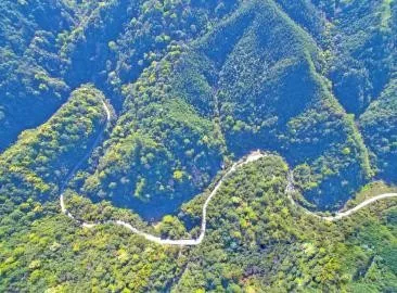 智能化，讓森林防火監(jiān)控管護(hù)更“智慧”