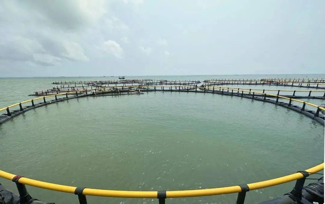 海域牧場(chǎng)實(shí)時(shí)防盜、防污染動(dòng)態(tài)監(jiān)視監(jiān)測(cè)系統(tǒng)解決方案