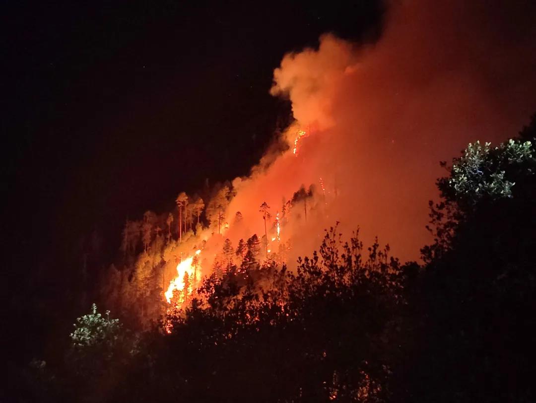 森林火災預警監(jiān)控攝像機