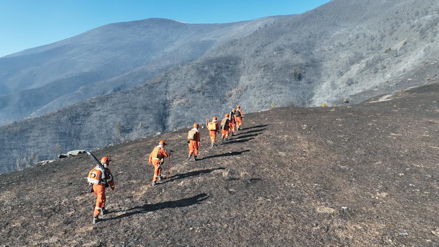 雙芯雙視距：基于熱成像與可見(jiàn)光的林地防火實(shí)時(shí)監(jiān)測(cè)方案